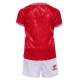 Danimarca Maglia Gara Casa Repliche Europei 2024 Bambino